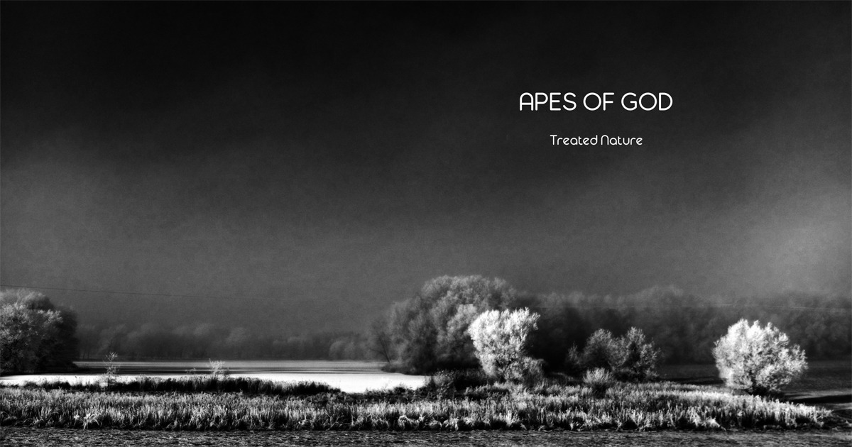 Apes of God, Ambient Trance Prog, Minimal Music, Progressive Music, Treated Nature, Jürgen Schultheis, Max Schultheis, Offenbach