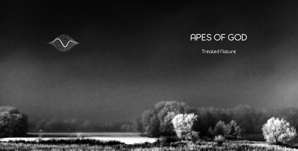 Apes of God, Ambient Trance Prog, Progressive Rock, Minimal Musik, Industrial, Jürgen Schultheis, Offenbach, Max Schultheis , Musik