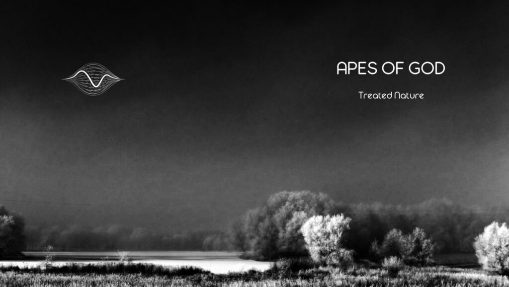 Apes of God, Ambient Trance Prog, Progressive Rock, Minimal Musik, Industrial, Jürgen Schultheis, Offenbach, Max Schultheis , Musik, Steffen Albrecht